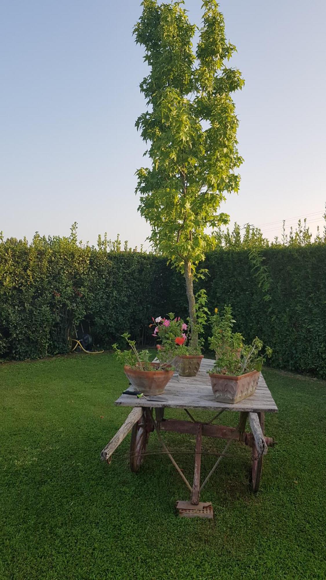 Apartmán Leupupe Relax Cultura Mare Monti Cascina Exteriér fotografie
